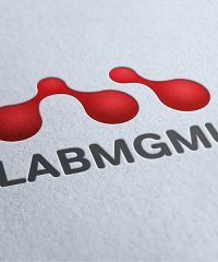 ЛАБМГМУ