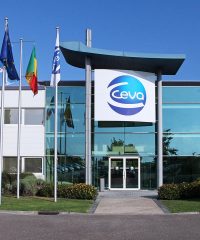 Сева Санте Анималь