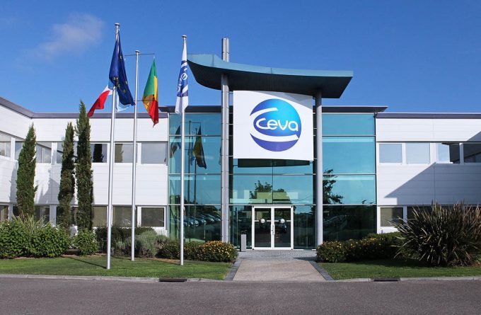 Сева Санте Анималь