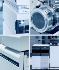 Лаб-Саппорт