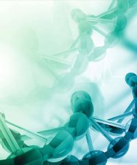 Биоорганика