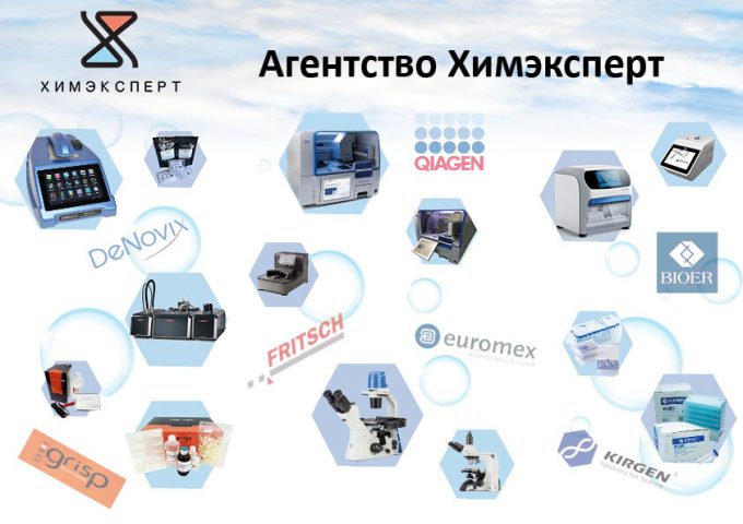 Химэксперт