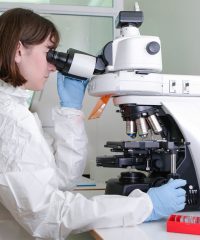 НИЦЭМ им. Н. Ф. Гамалеи