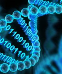 Система-БиоТех