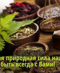 Тверская фармацевтическая фабрика