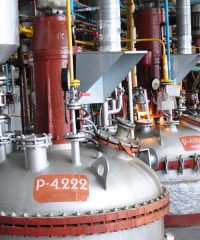 Полисинтез