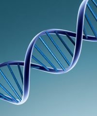 Институт Стволовых Клеток Человека